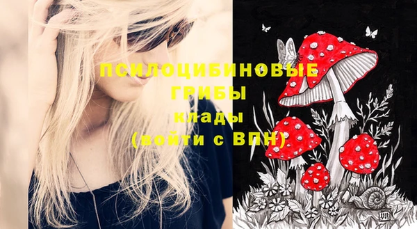 эйфоретик Новозыбков
