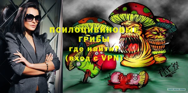 эйфоретик Новозыбков