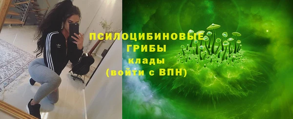 СК Новокубанск