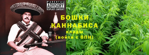 эйфоретик Новозыбков