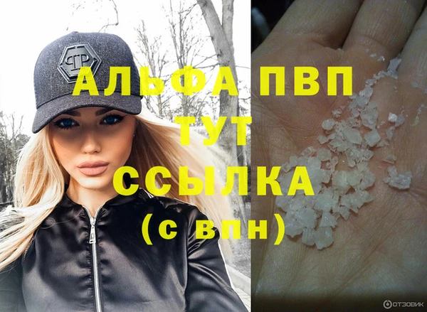 СК Новокубанск