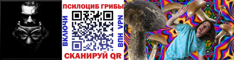 мориарти как зайти  закладки  Алагир  Псилоцибиновые грибы GOLDEN TEACHER 